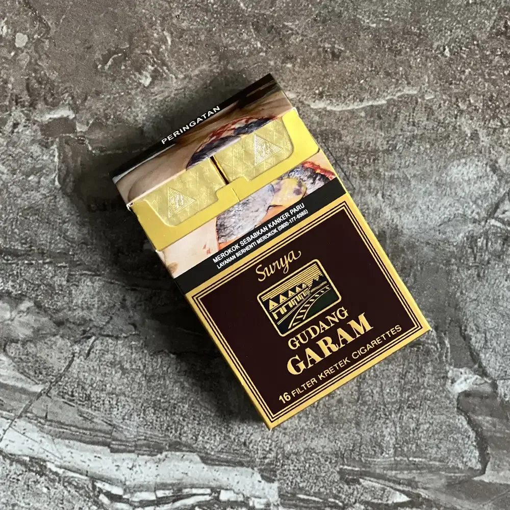 Gudang Garam international